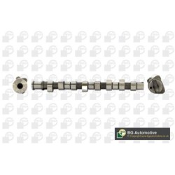Camshaft BGA CS9508 OE Ref 636211