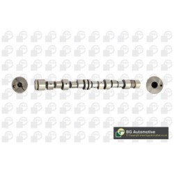 Camshaft BGA CS9600 OE Ref A96182964