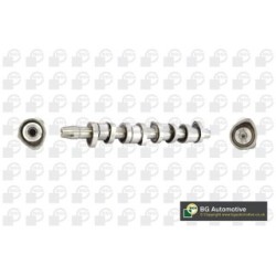 Camshaft BGA CS9604 OE Ref 038109101AE