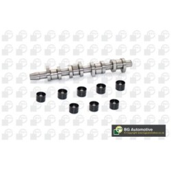 Camshaft Kit BGA CS9604K OE Ref 1100677