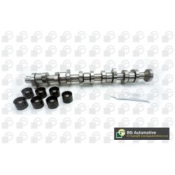 Camshaft Kit BGA CS9610K OE Ref 038109309B