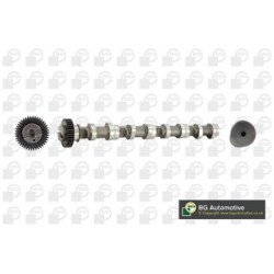 Camshaft BGA CS9611 OE Ref 03L109021E