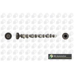 Camshaft BGA CS9612 OE Ref 03L109022D