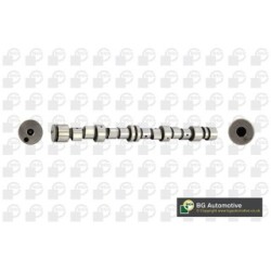 Camshaft BGA CS9739 OE Ref 24401409