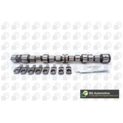 Camshaft Kit BGA CS9739K OE Ref 636001