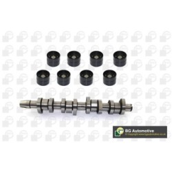 Camshaft Kit BGA CS9901K OE Ref 038109309A