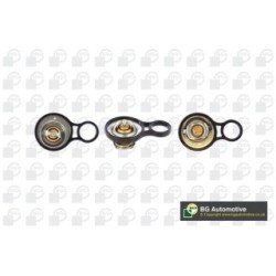 Coolant Thermostat BGA CT0902 OE Ref 4331733