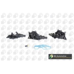 Coolant Thermostat BGA CT5666 OE Ref 8200561434