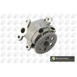 Oil Pump BGA LP0378 OE Ref 1096255