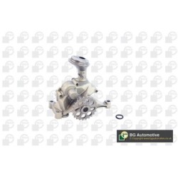 Oil Pump BGA LP0484 OE Ref 111180020105