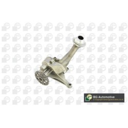 Oil Pump BGA LP0540 OE Ref 6021803001