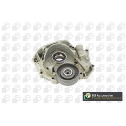 Oil Pump BGA LP0572 OE Ref 069115105Q