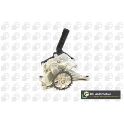 Oil Pump BGA LP0768 OE Ref 6011801401