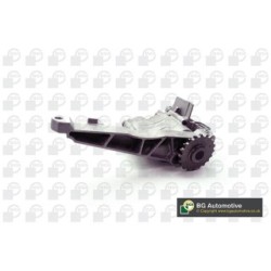 Oil Pump BGA LP5608 OE Ref 6421802001