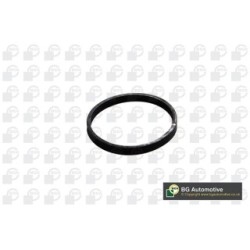 Intake Manifold Gasket BGA MG1403 OE Ref 3645962