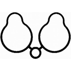 Intake Manifold Gasket BGA MG3540 OE Ref 0348.N0