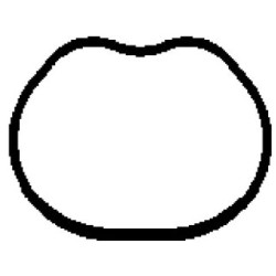 Intake Manifold Gasket BGA MG8528 OE Ref 2S6G9441CA