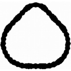 Intake Manifold Gasket BGA MG9553 OE Ref 4884648AA