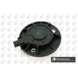 Camshaft Adjustment Central Magnet BGA OCV0116 OE Ref 06H109259A