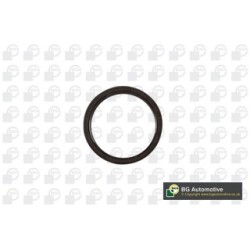 Crankshaft Seal BGA OS3304 OE Ref 91214-P8A-A01