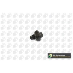 Sump Plug BGA PK1400 OE Ref 1013938