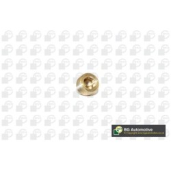 Sump Plug BGA PK2202 OE Ref 60808630