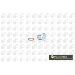 Sump Plug BGA PK2203 OE Ref 55184773