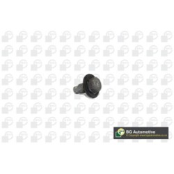 Sump Plug BGA PK2305 OE Ref F53E6730CA