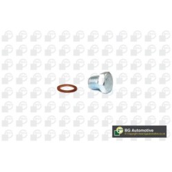 Sump Plug BGA PK9500 OE Ref 652491