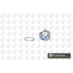 Sump Plug BGA PK9600 OE Ref 2RD103193
