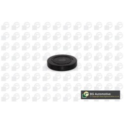 Rocker Arm Shaft Mounting Bore Plug BGA PL4601 OE Ref 7703002969