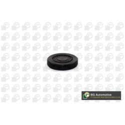 Rocker Arm Shaft Mounting Bore Plug BGA PL4602 OE Ref 7700106271