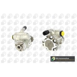 Power Steering Pump BGA PSP0110 OE Ref 8N0145154AX