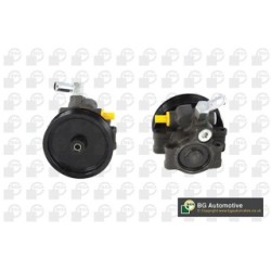 Power Steering Pump BGA PSP2305 OE Ref 1C1C3A696AA