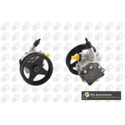 Power Steering Pump BGA PSP4204 OE Ref QVB500430