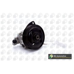 Power Steering Pump BGA PSP4239 OE Ref LR014090