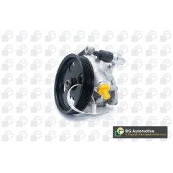Power Steering Pump BGA PSP5668 OE Ref 54662201