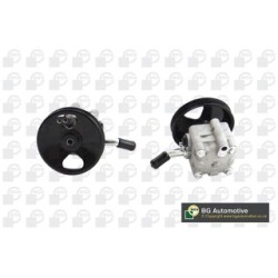 Power Steering Pump BGA PSP6302 OE Ref 49110-AV700