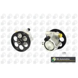 Power Steering Pump BGA PSP6305 OE Ref 49110-00Q0D