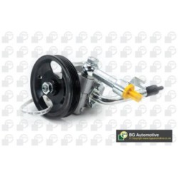 Power Steering Pump BGA PSP6321 OE Ref 49110-EB300