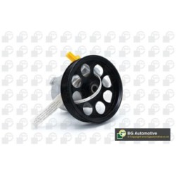 Power Steering Pump BGA PSP7605 OE Ref 5061841