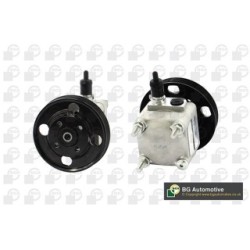 Power Steering Pump BGA PSP9701 OE Ref 36000790