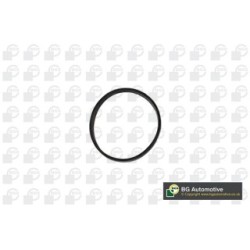 Intake Manifold Gasket BGA RW3399 OE Ref 11617547242