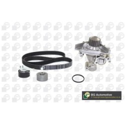 Water Pump Timing Belt Kit BGA TB1409CPK OE Ref 0831.K3