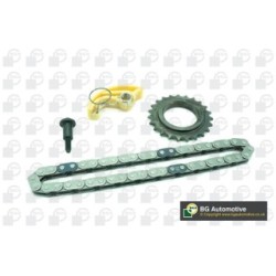 Oil Pump Drive Chain Set BGA TC7307FK OE Ref 93168048