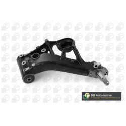 Control Trailing Arm Bush BGA TRC2288 OE Ref 17736515