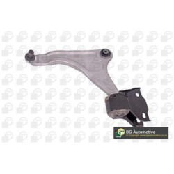 Track Control Arm BGA TRC4248 OE Ref LR045802
