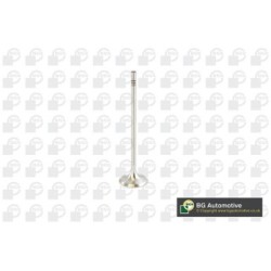 Intake Valve BGA V016839 OE Ref 04E109601B