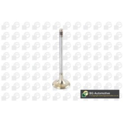 Exhaust Outlet valve BGA V090100 OE Ref 11341739821