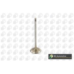 Intake Valve BGA V090102 OE Ref 11347539919